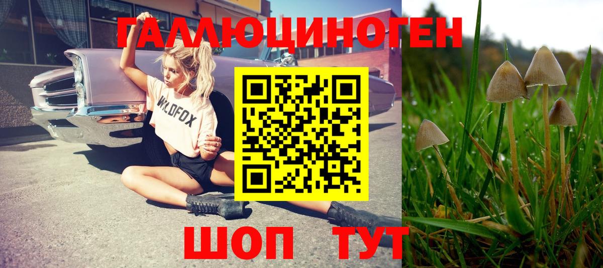 Галлюциногенные грибы мухоморы Котельники