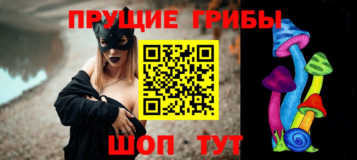 Котельники  даркнет сайт  Вход с VPN  Псилоцибиновые грибы Psilocybe 
